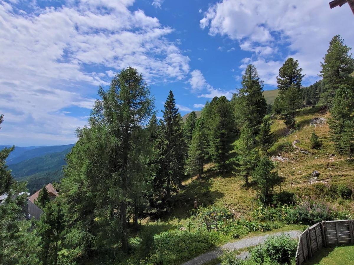 Bergheim Schmidt, Almhütten im Wald Appartments an der Piste Turracher Hohe Exterior foto