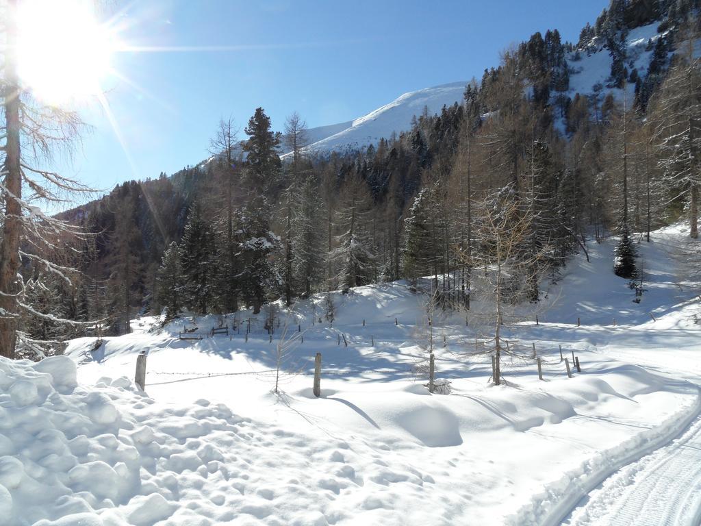 Bergheim Schmidt, Almhütten im Wald Appartments an der Piste Turracher Hohe Exterior foto