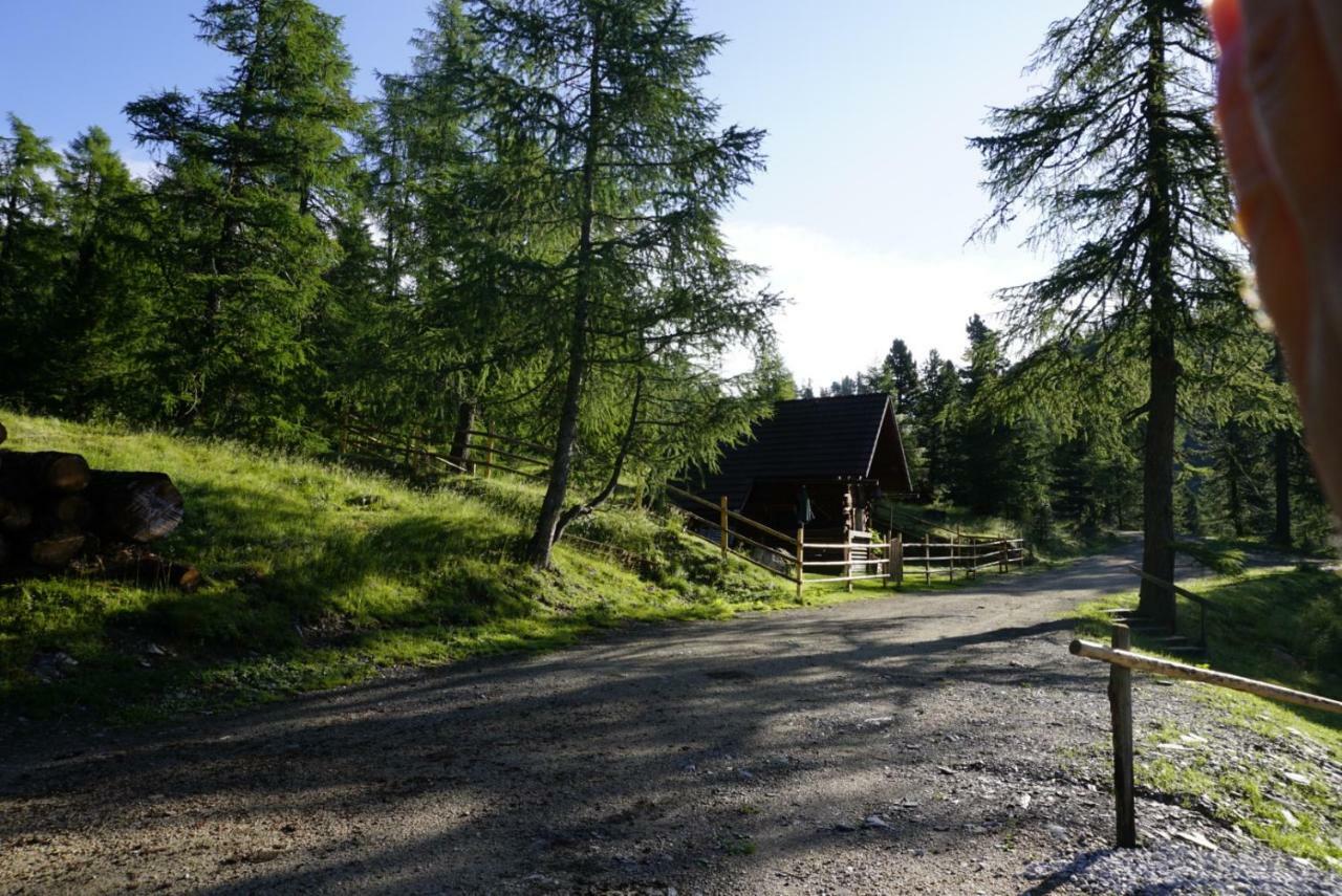 Bergheim Schmidt, Almhütten im Wald Appartments an der Piste Turracher Hohe Exterior foto