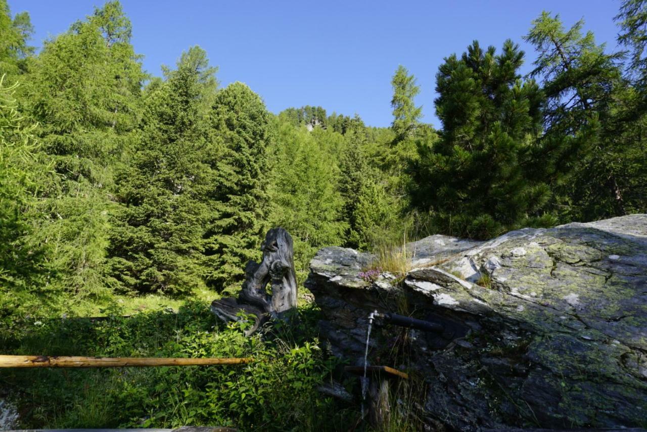 Bergheim Schmidt, Almhütten im Wald Appartments an der Piste Turracher Hohe Exterior foto